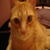 avatar personal