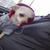 avatar personal