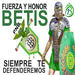 avatar personal de siteb