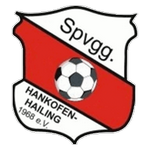 Escudo de Hankofen-Hailing