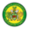 Escudo del Caernarfon Town FC