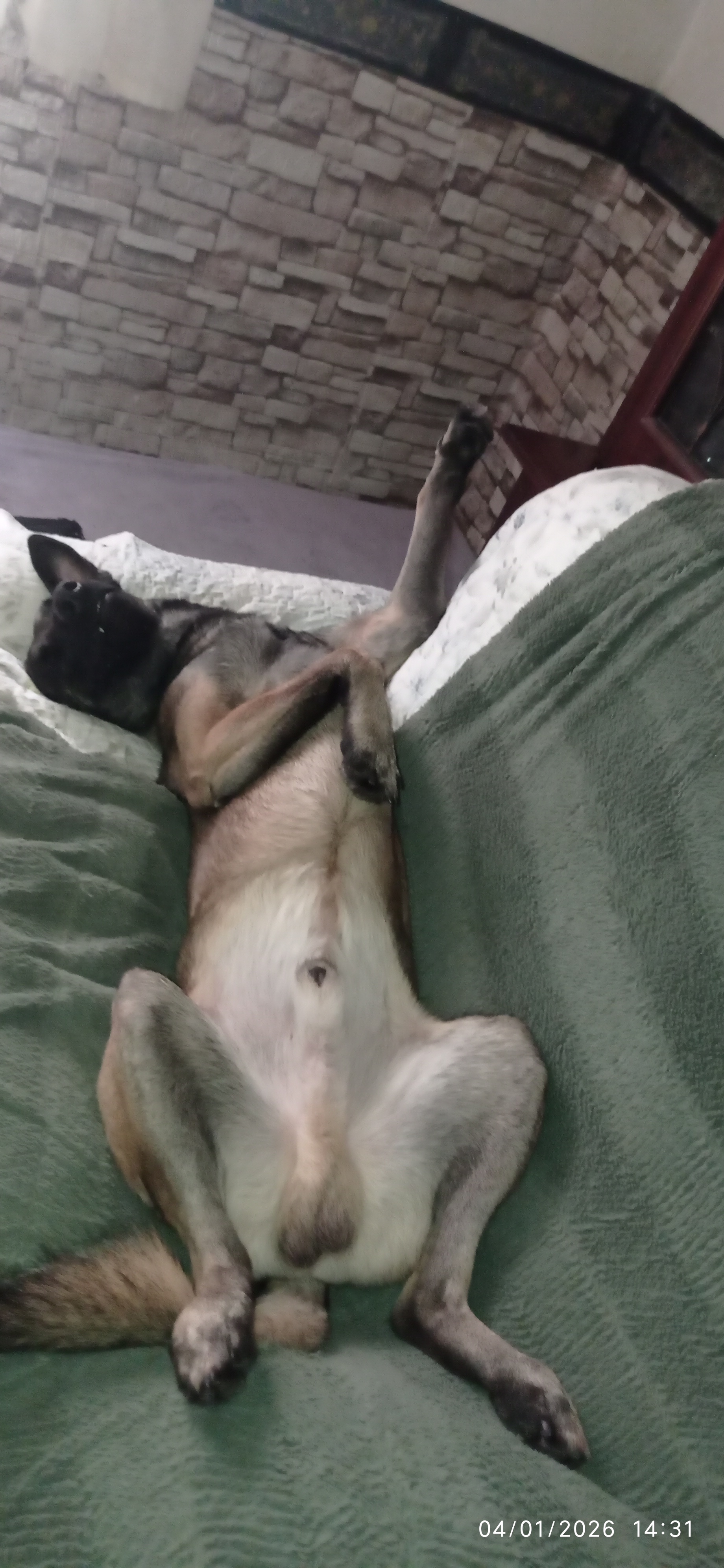 Imagen del comentario 108231