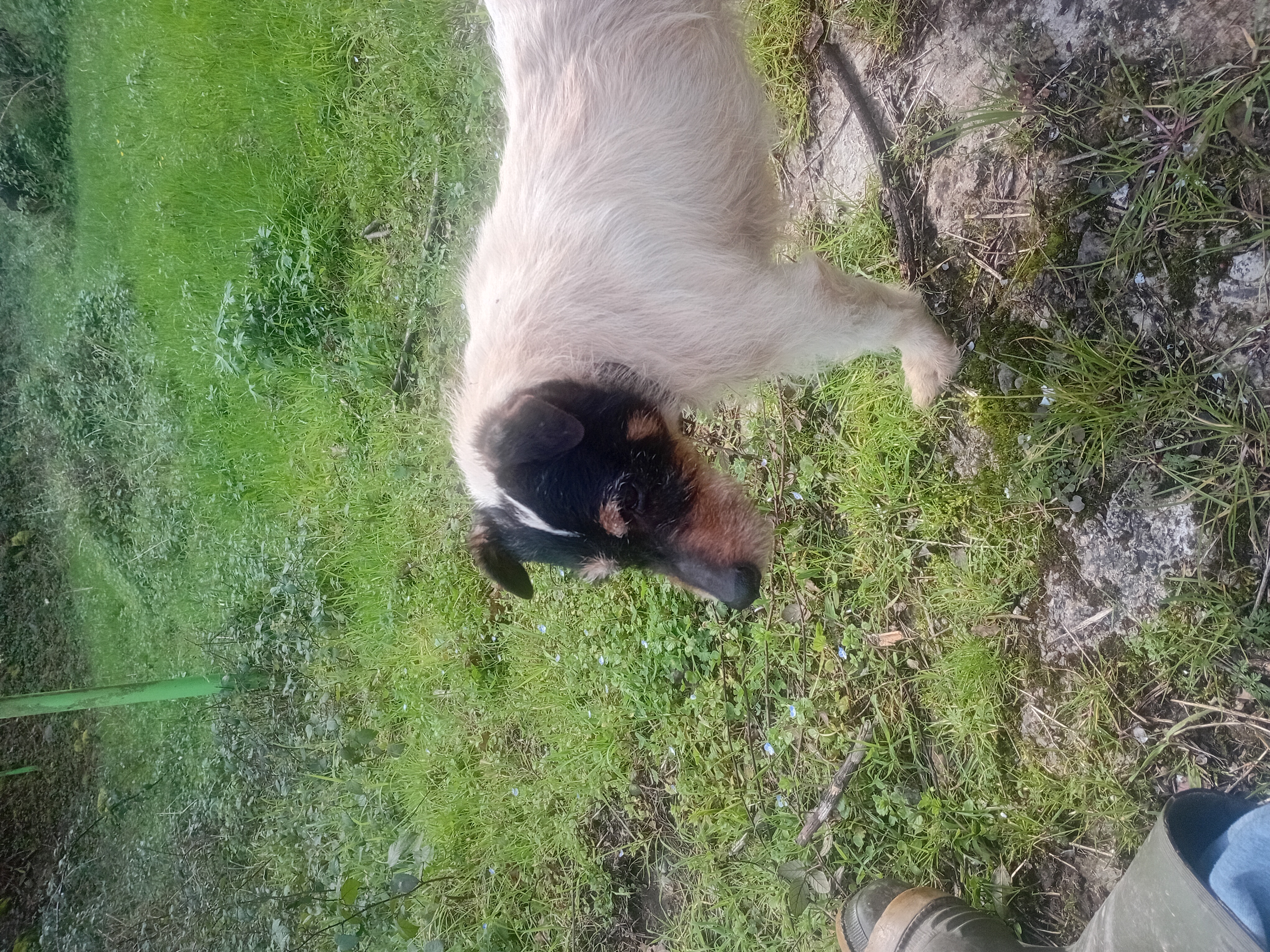 Imagen del comentario 112930