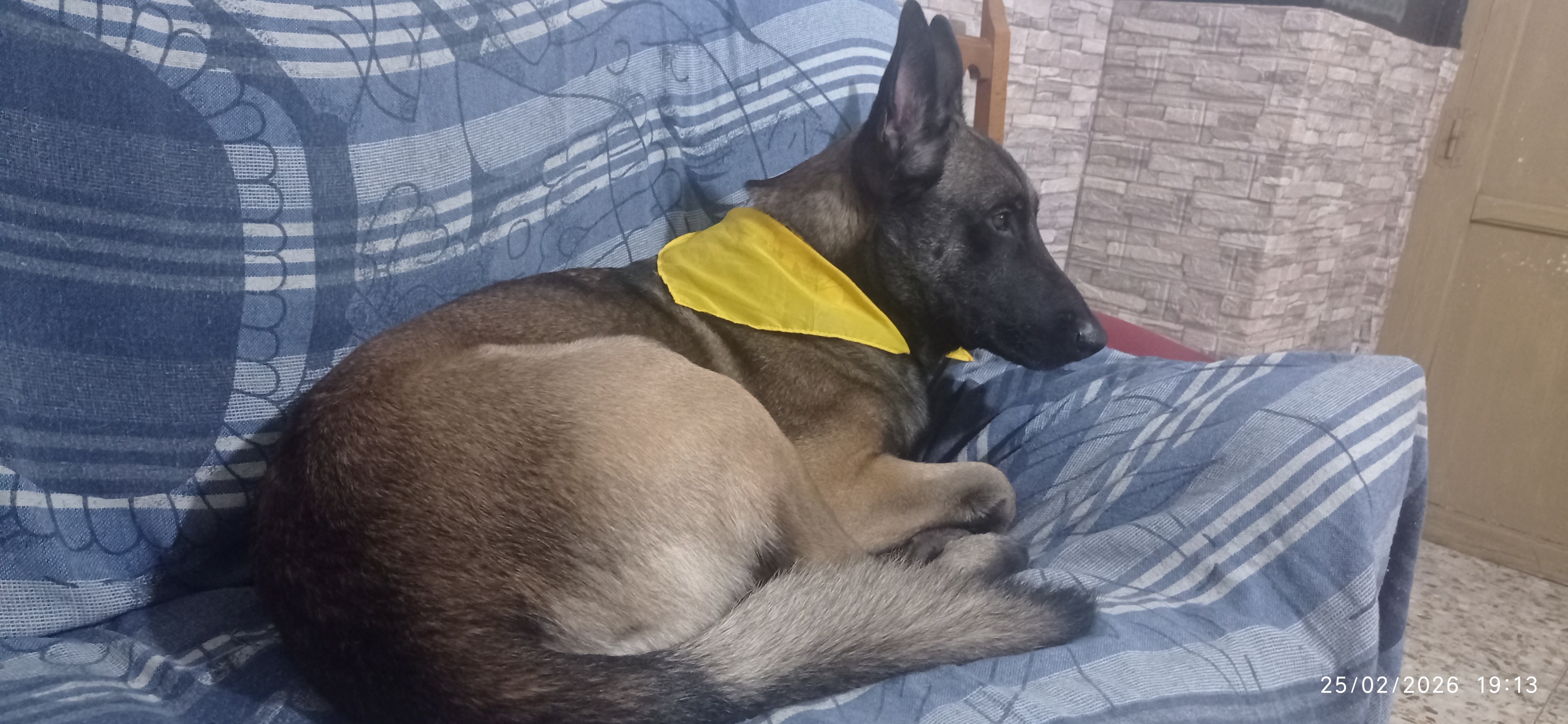 Imagen del comentario 108142