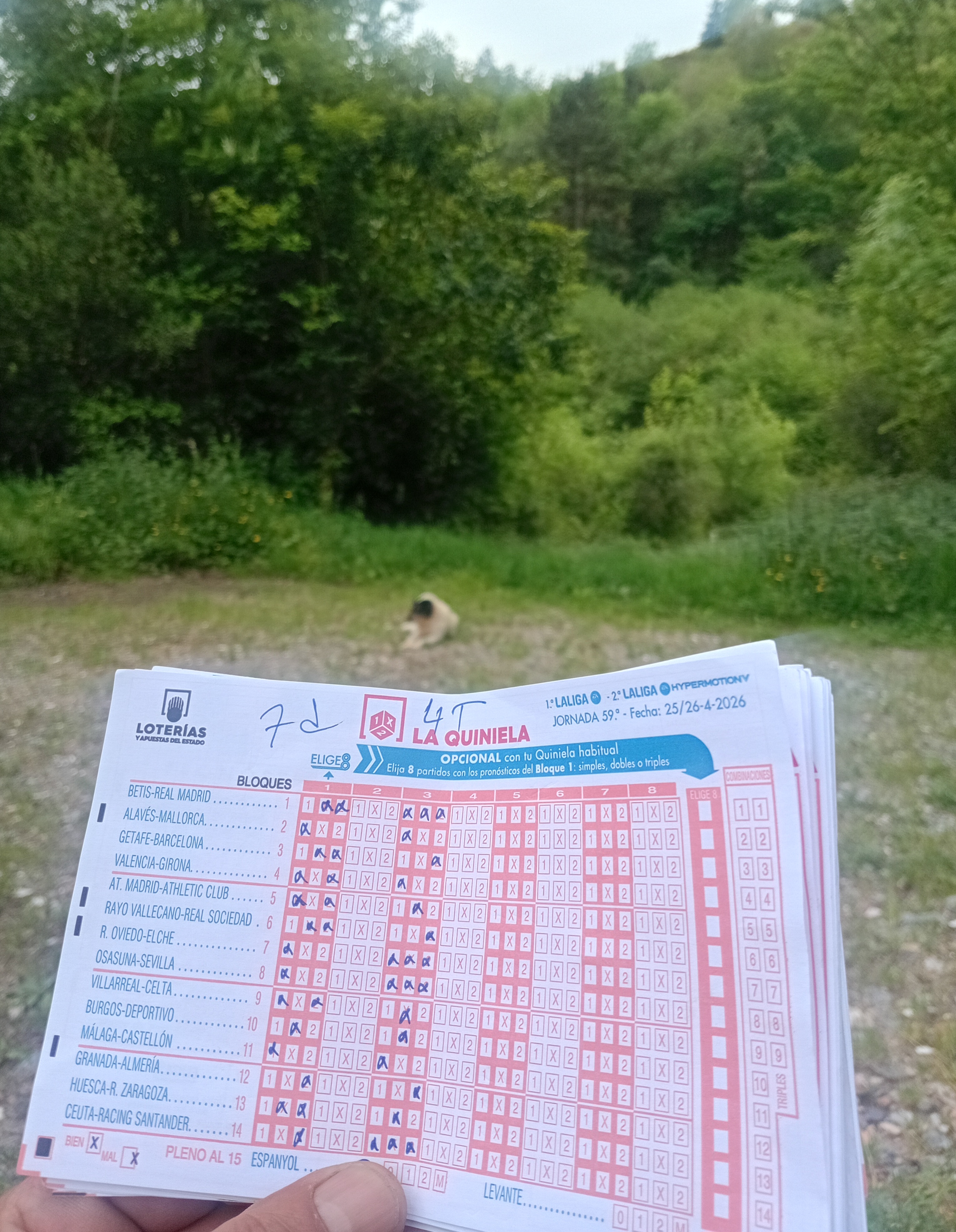 Imagen del comentario 113345