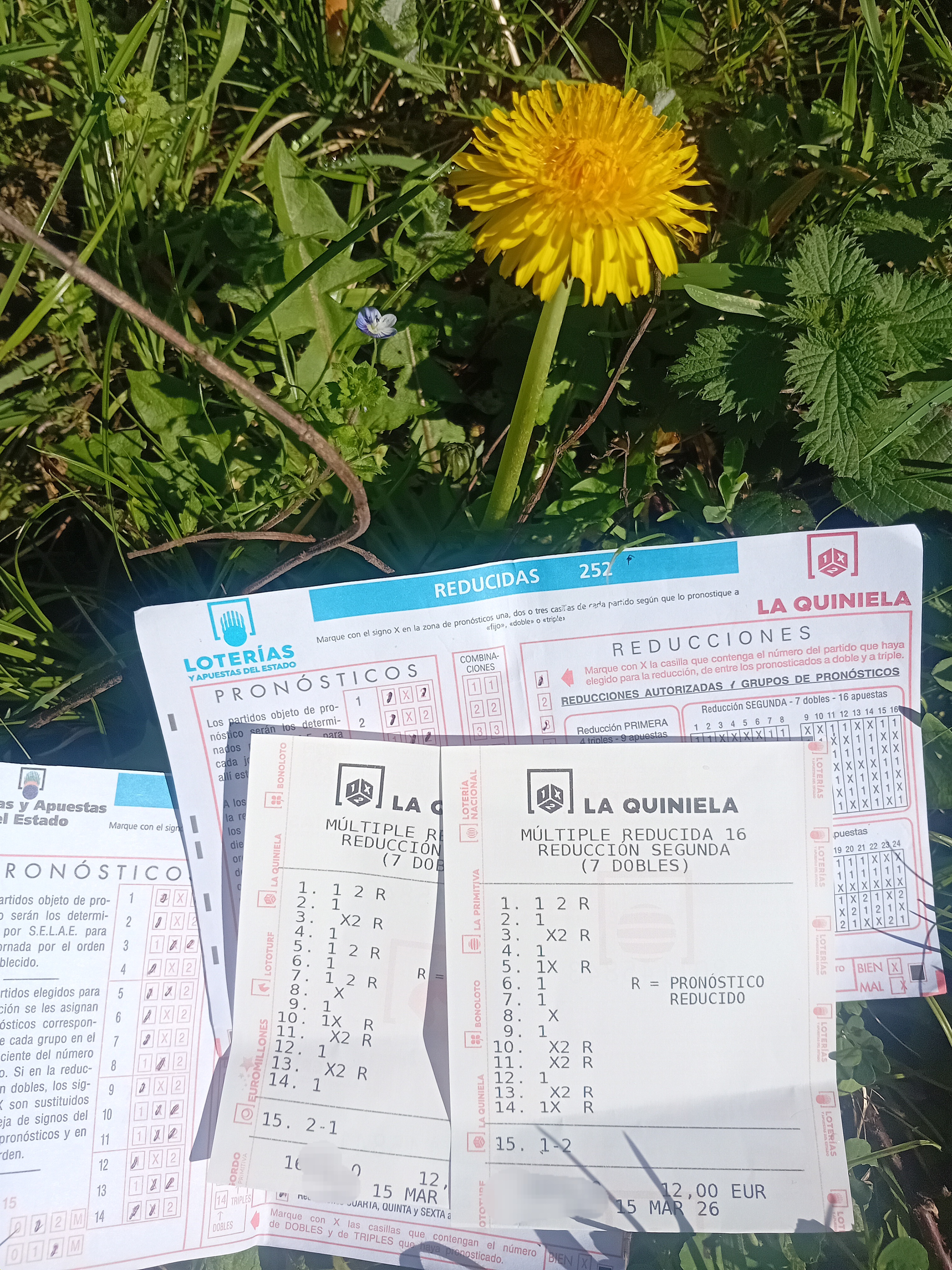 Imagen del comentario 105897