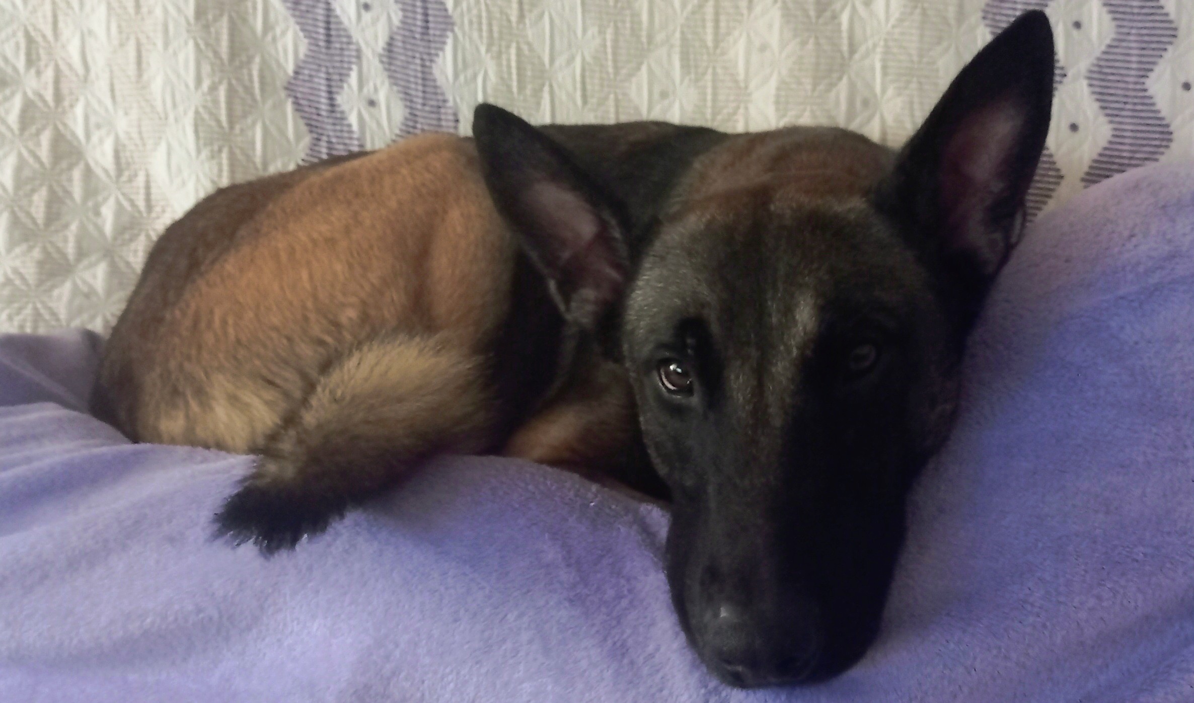 Imagen del comentario 108590