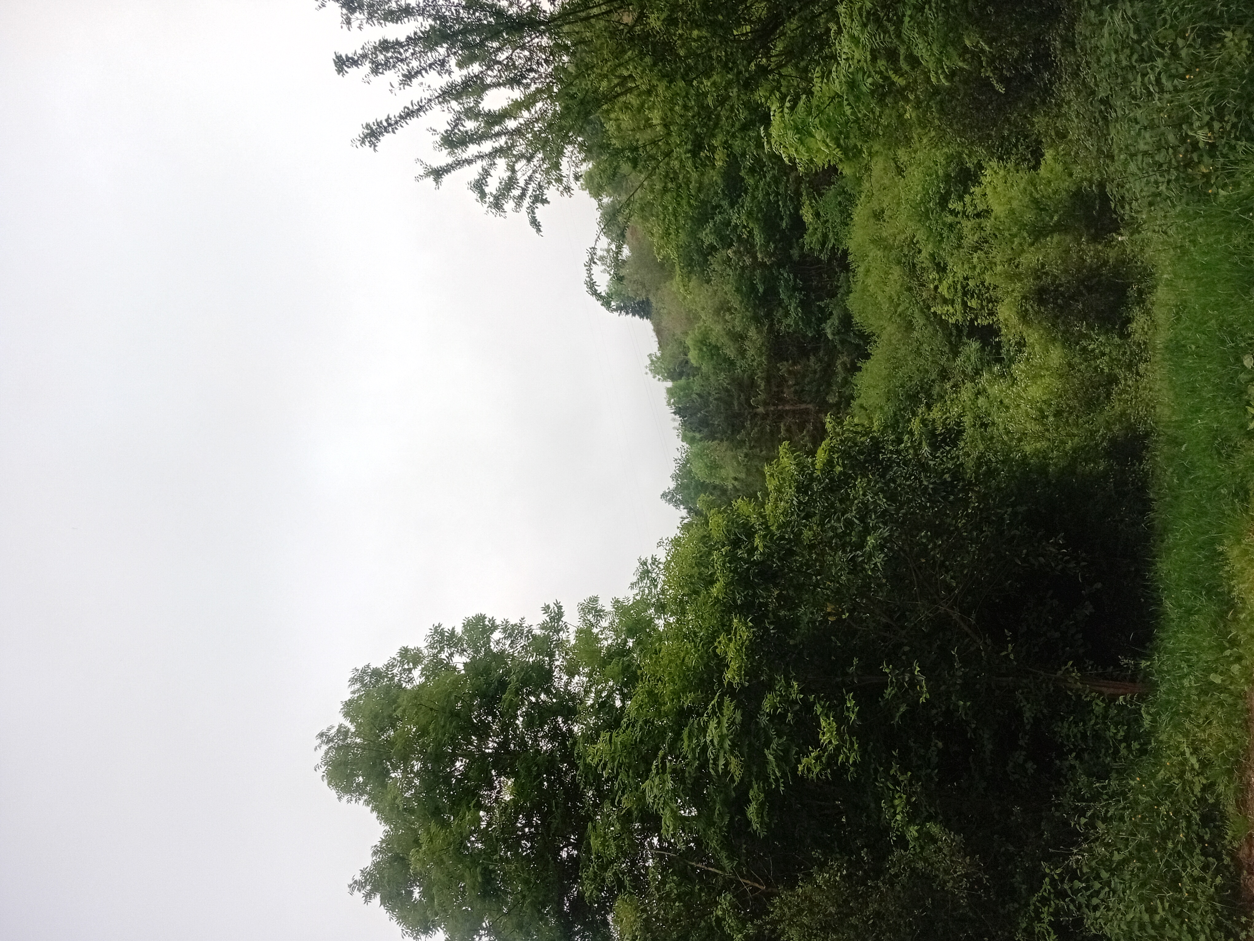 Imagen del comentario 113575