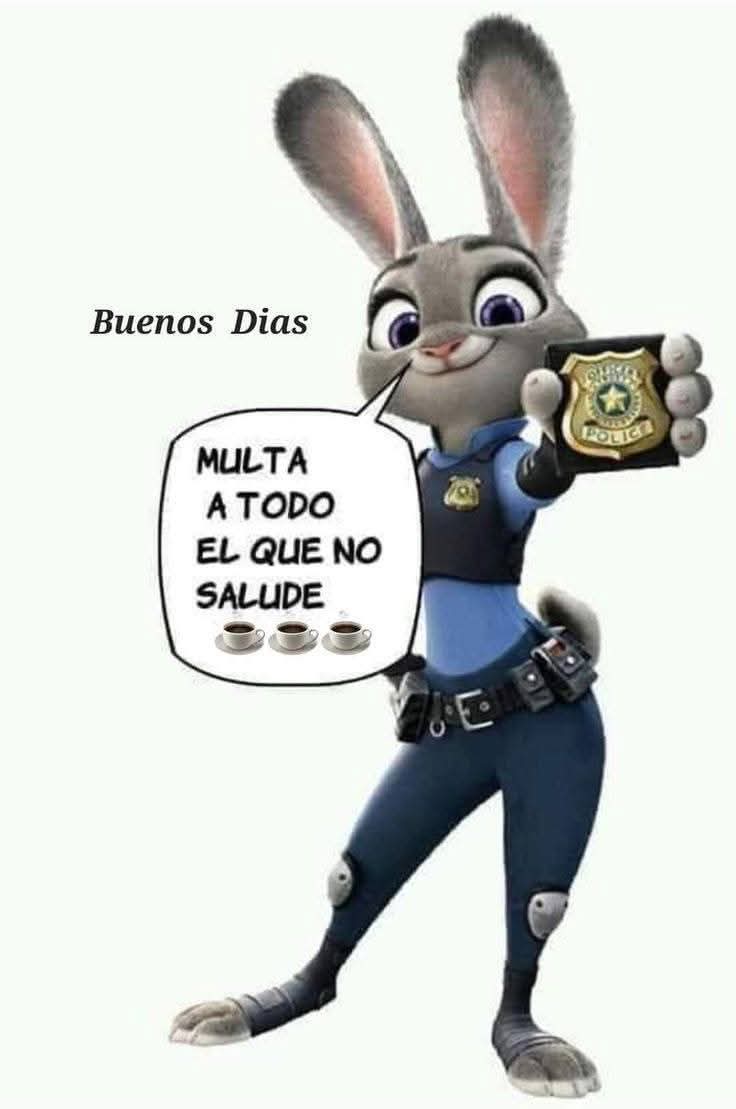 Imagen del comentario 114602