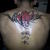 Jarce