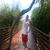 avatar personal