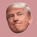 avatar personal de donaldtrump