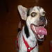 avatar personal de chispita19