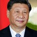 avatar personal de xijinping