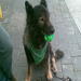 avatar personal de notiyas