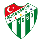 Escudo de Bursaspor