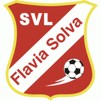 Escudo de Flavia Solva