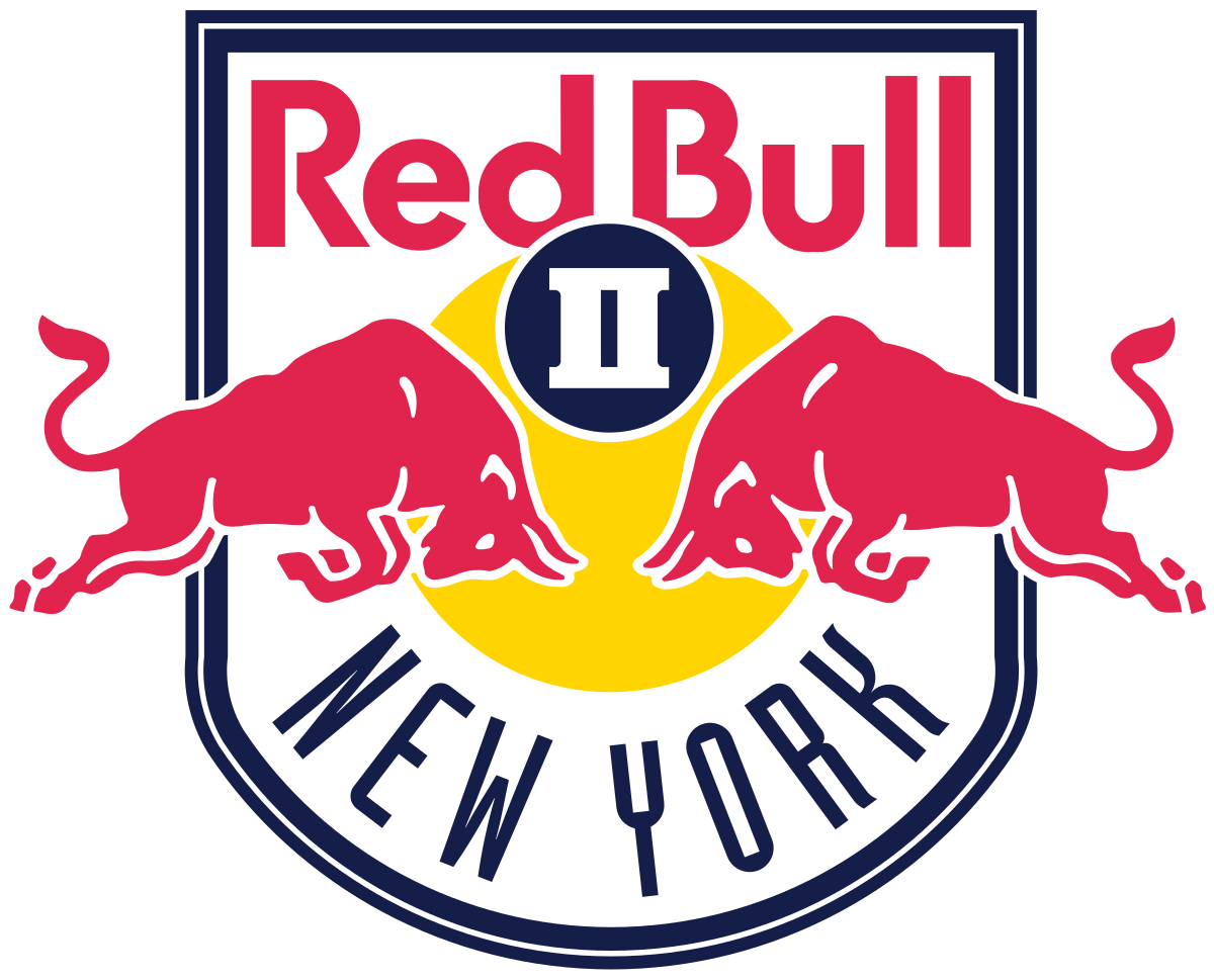 Escudo de New York RB II
