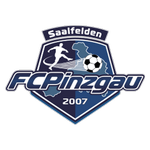 Escudo de Pinzgau Saalfelden