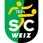 Escudo de Weiz