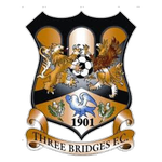 Escudo de Three Bridges