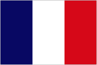 Escudo de Francia S21