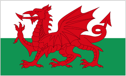 Escudo de Wales U21