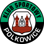 Escudo de Górnik Polkowice